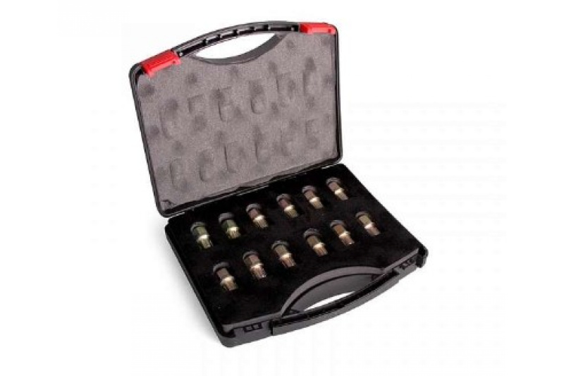 Набор сервисных бит  VAG T10101 Car-Tool CT-3250